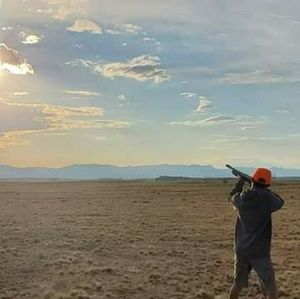 Meet your Posher, Lolr3ckless